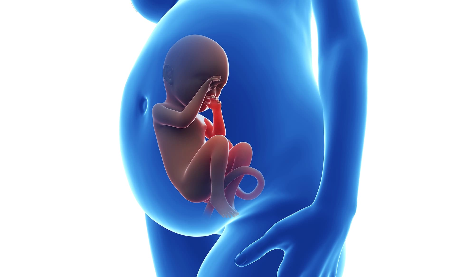 Ginnastica Posturale e Gravidanza