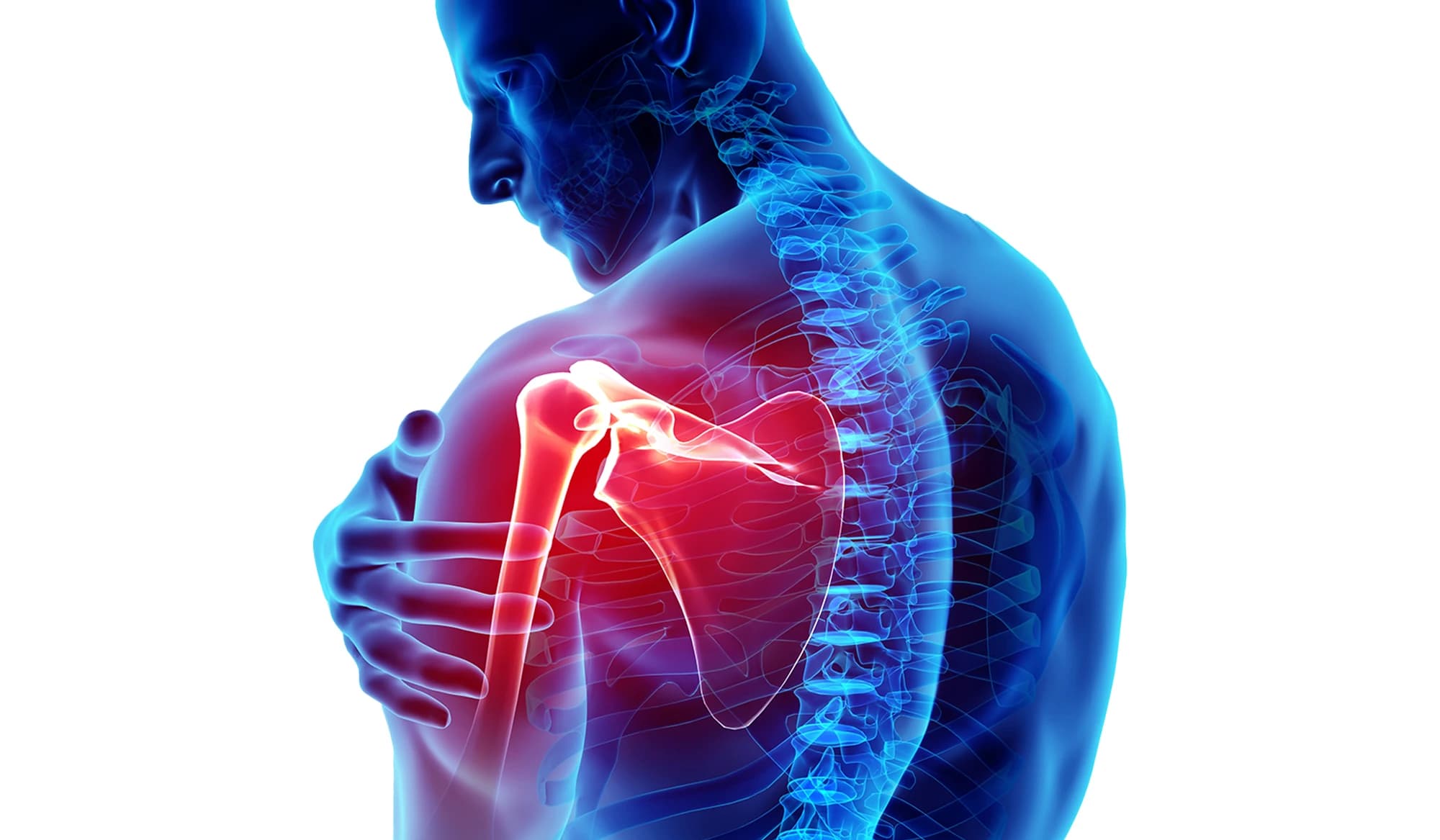 Struttura della Spalla, Funzionalità e Problemi Comuni