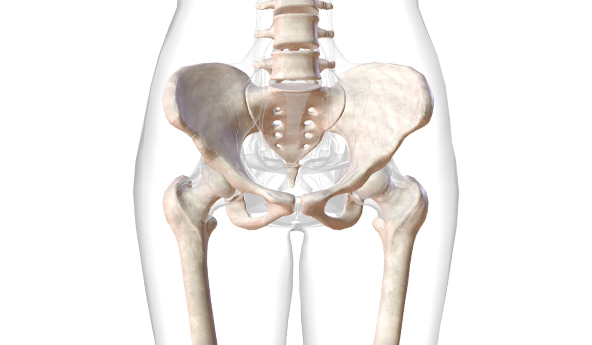 Asimmetria e Rotazione del Bacino